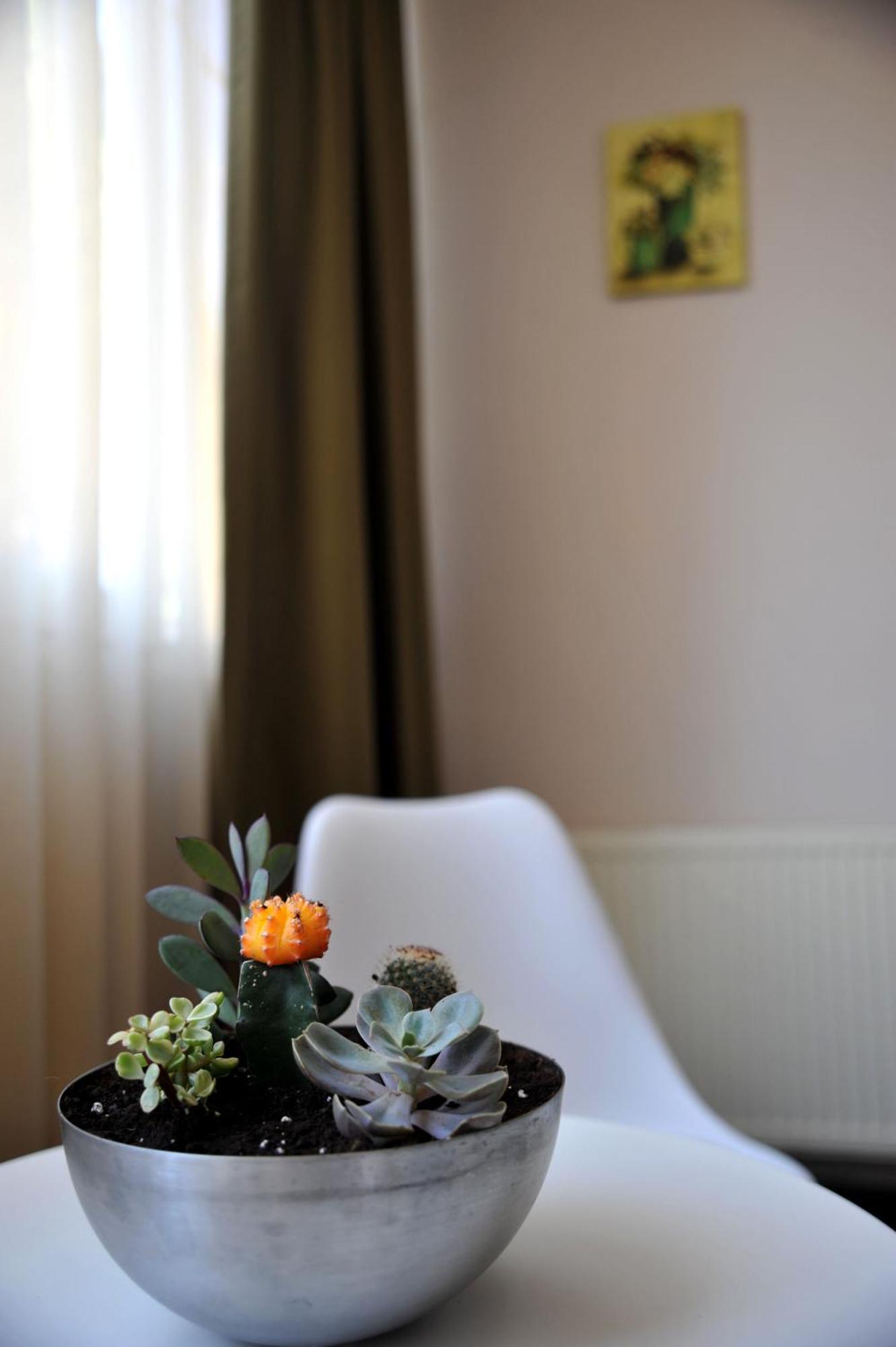 Like Home Brašov Exteriér fotografie